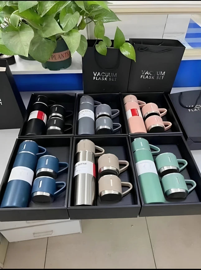 Stainless Steel Thermos (500ml)